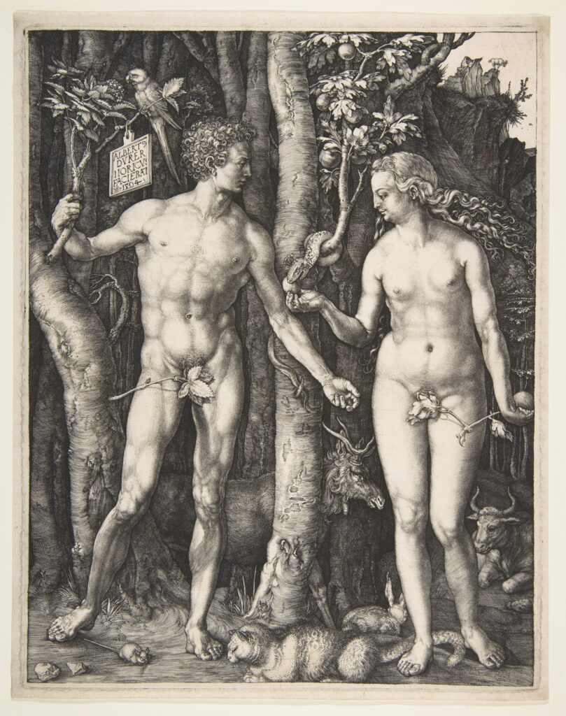 Adam and Eve, by Albrecht Dürer – symbolism of a parrot in art