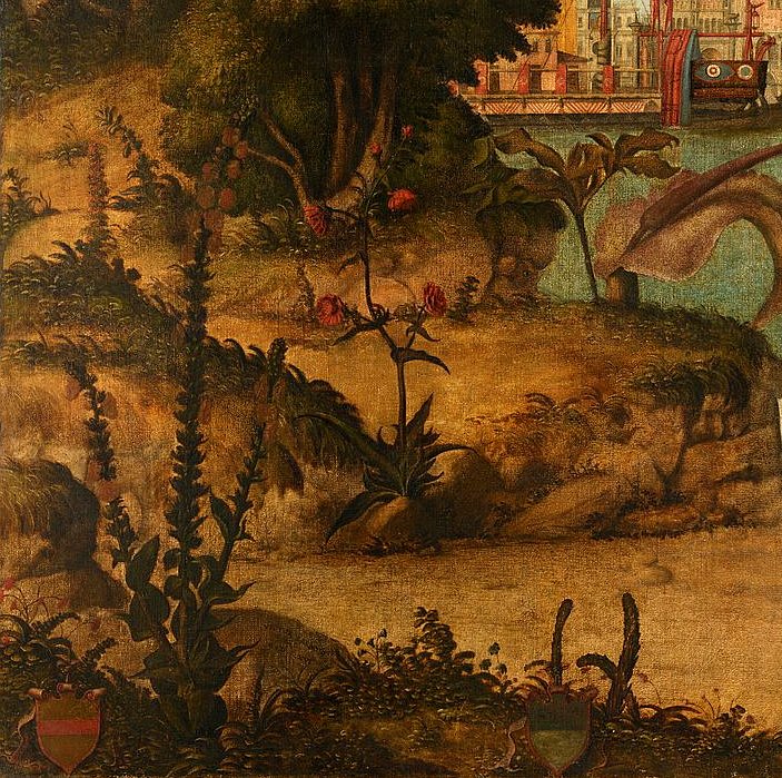 Detail of plants in Carpaccio’s Lion of Saint Mark, symbolic vegetation of Renaissance painting
