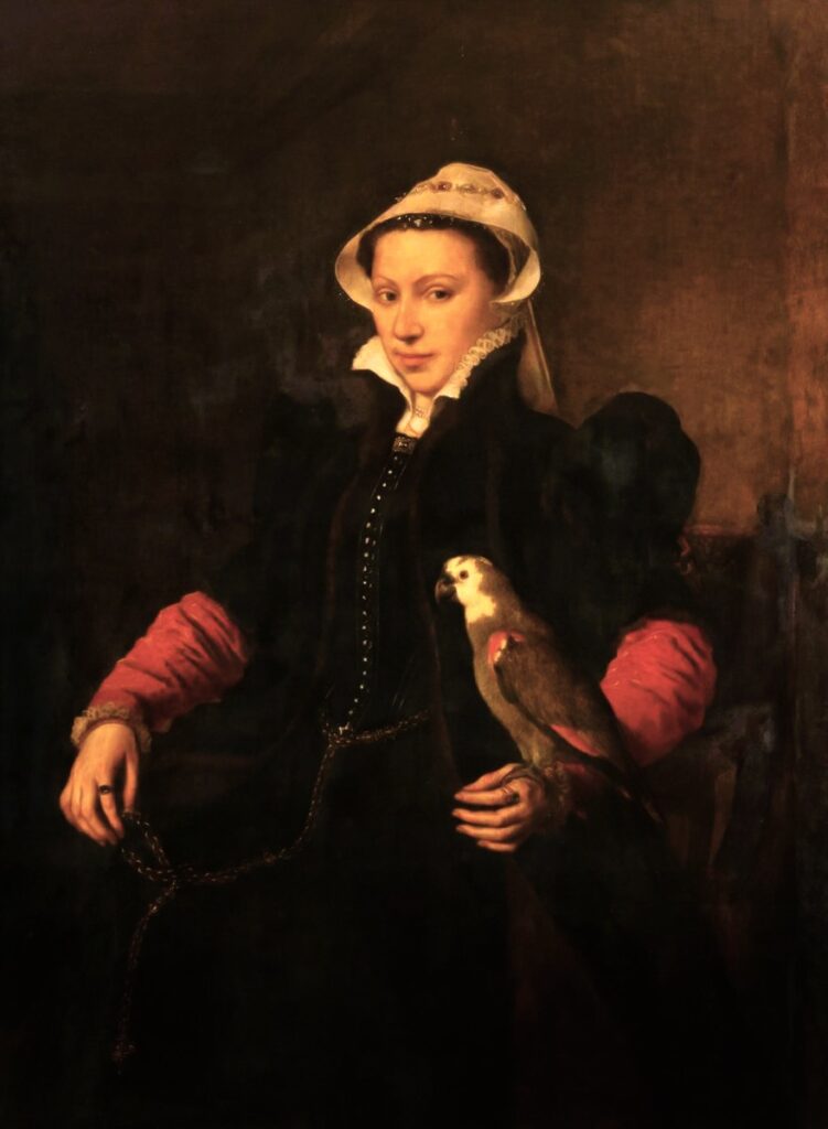 Portrait of a lady with a parrot, painting by Antonis Mor – symbolism of a parrot in art