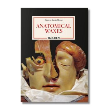 Anatomical Waxes