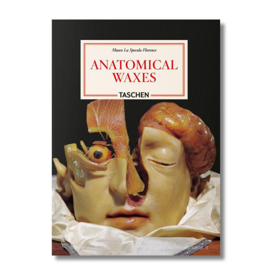 Anatomical Waxes museum collection catalog from Museo La Specola Florence, cover
